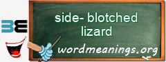 WordMeaning blackboard for side-blotched lizard